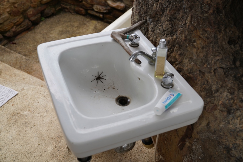 bathroom, inhabitant