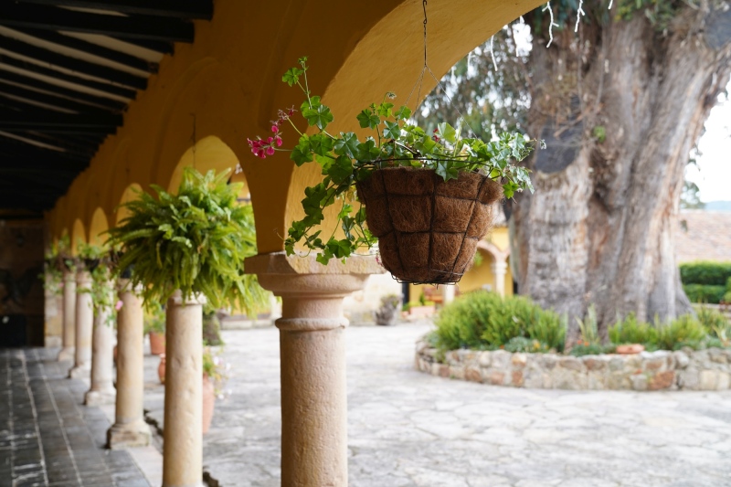 Hacienda Salitre