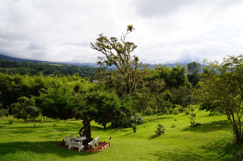 view from the Tequila terrace