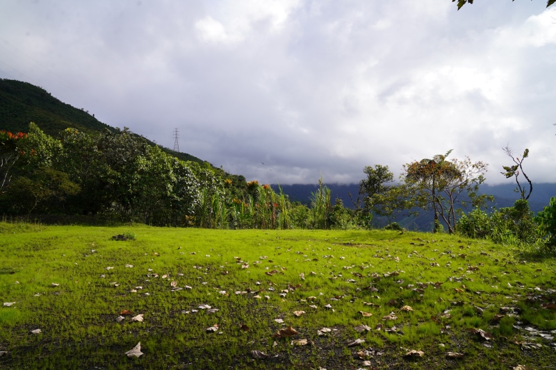 on the way back to the finca at km 30