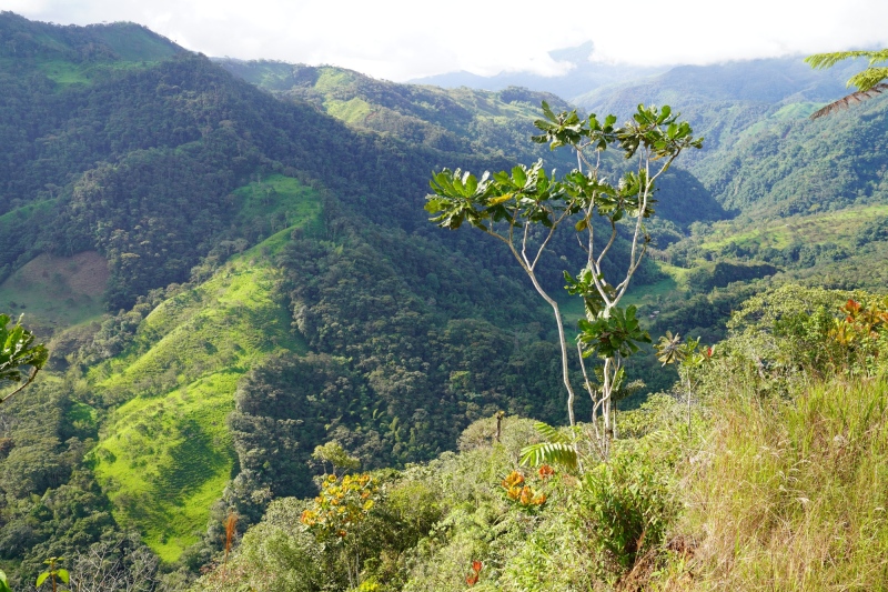 beyond the mountains lays the Pacific Ocean