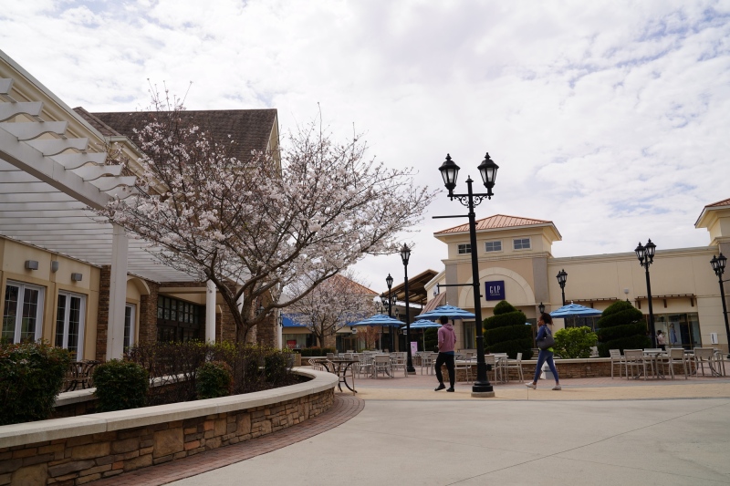 Main Plaza