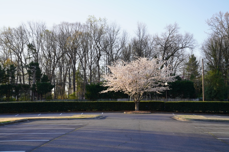Golfclub parkinglot