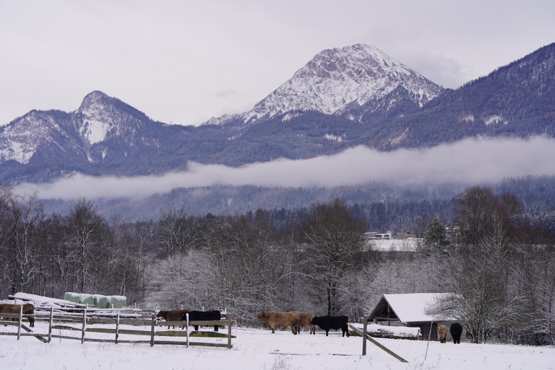 Mittagskogel, übrigens, Karntn is lei ans !