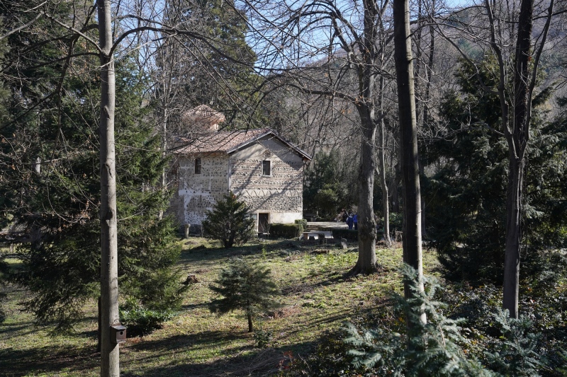 view back