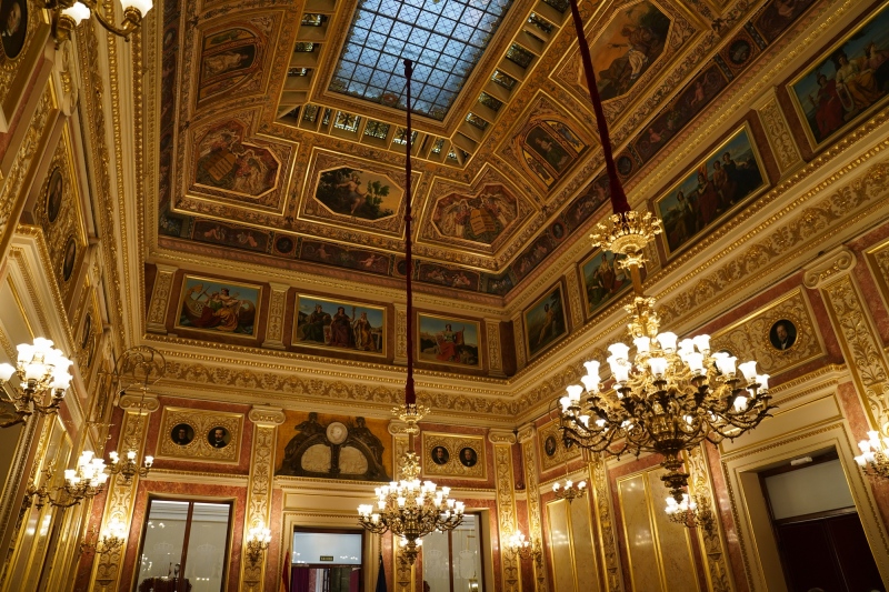 Gorgeous ceiling in the Congress