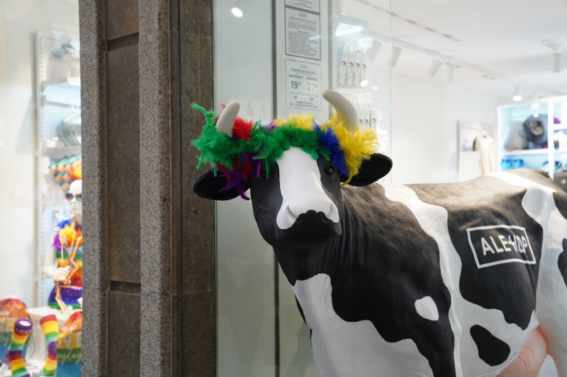 mad cow ahead