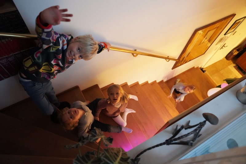 The next generation descending from the roof-top