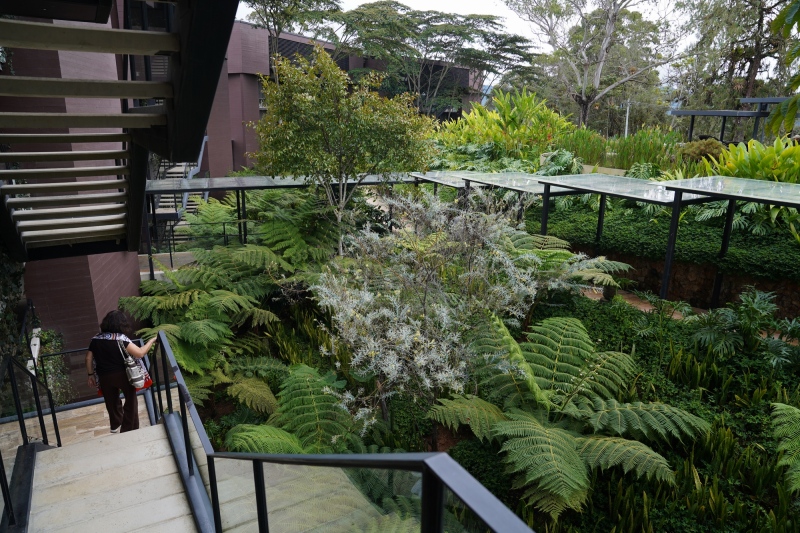 Después de check in, por el cxamino al cuarto