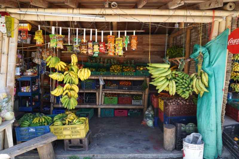 Breve parada en la carretera para compra algunas frutas
