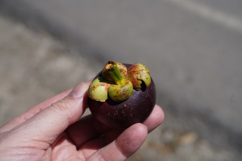 Fruta rara llamada Mangostino