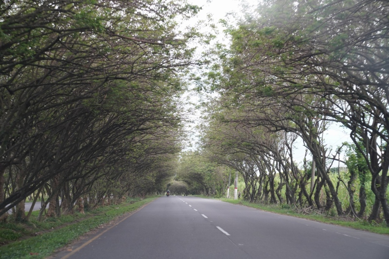 Tunel natural de la autopista cerca de Cali
