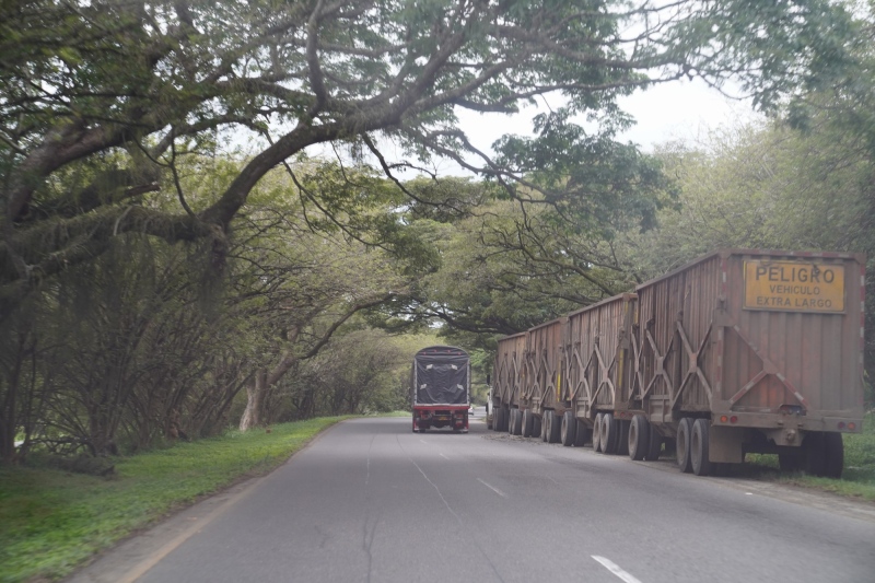 Tren cañero en la autopista, tambien llamado ´borrador´