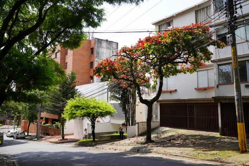 Cerca de la casa
