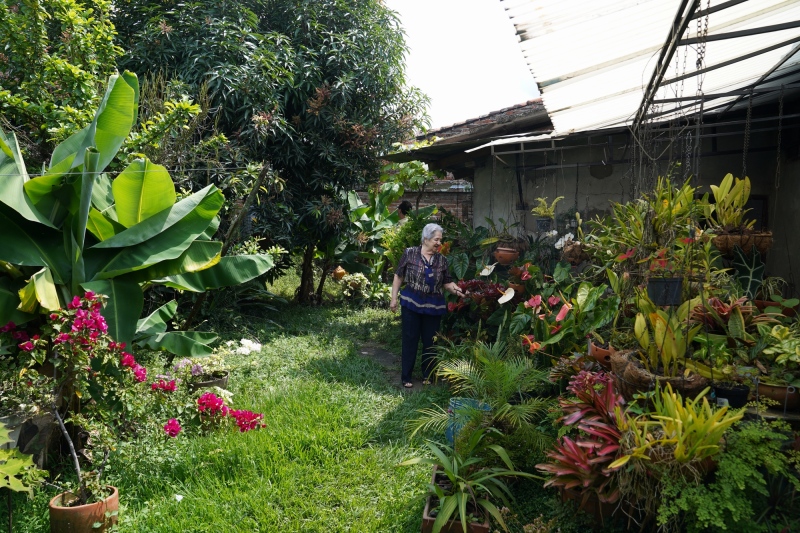 Jardin de flores