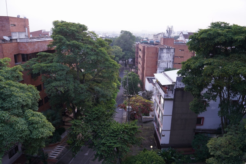 Vista matinal del balcón