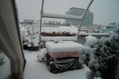 Short winter come-back at our terrace