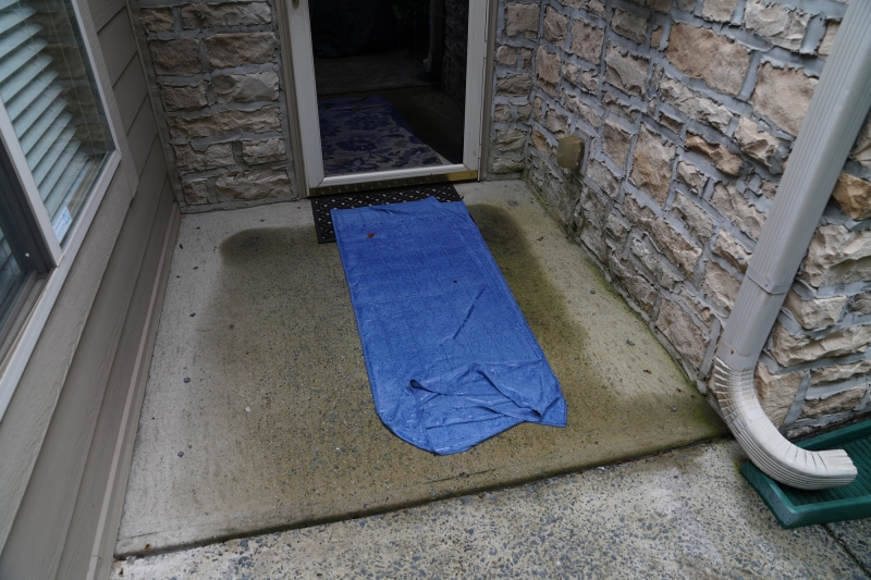 As promised a blue carpet was rolled out for me ( a red one would have been politically incorrect )