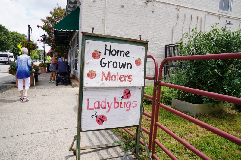 Lady Bugs in German is Maikäfer i.e. May Bugs ;-)