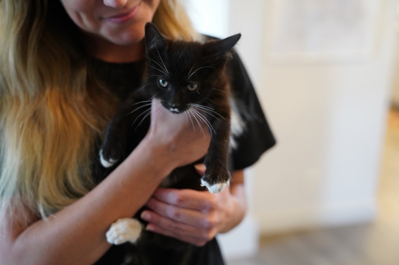 A bit out of focus but too cute to omit ( the daughter of the founder with her cat )
