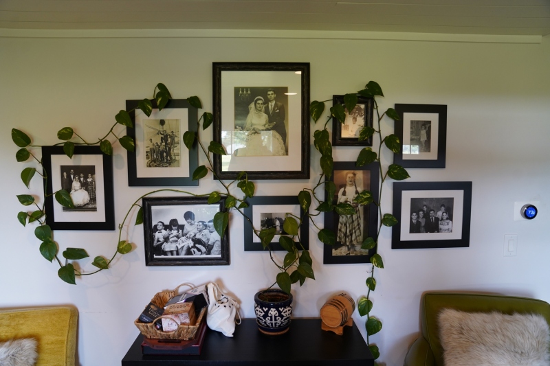 Family history from the Owners ( Greek-Origins )