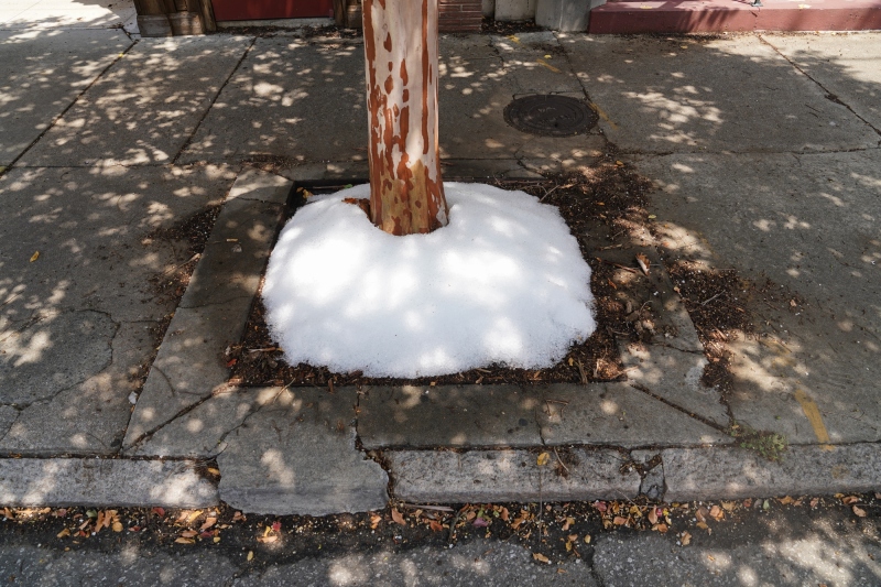 DSC07620_well-not-snow-but-crushed-ice