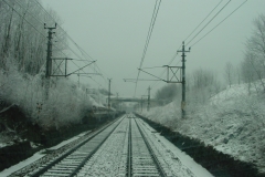 DSC05503