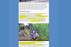 2023-08-02  HRW & AI sorgen sich wie immer rührend um das Wohl der Kriminellen