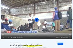2023-08-21  hätten die Saudis statt Grenzschützer, überqualifizierte Grenzmanager*innen, wie wir in Europa, wär das niemals passiert