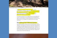 2024-01-10  wie gut dass man sich über diese fälschlichen Behauptungen Trumps in lokalen Nachrichtenquellen informieren kann