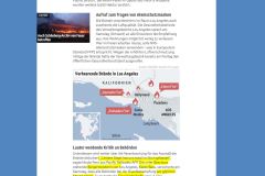 2025-01-12  für Preistreiberei 10.000.- und für Brandstiftung bzw. Plünderung einen preisgünstigen Genickschuss, das wär was !