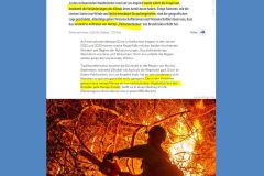 2025-01-14  jede Menge Zunder, der aufgrund imbeziller ´Grüner´  Vorschriften über Jahre nicht kontrolliert abgebrannt wurde