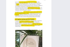 2025-03-01  der ´Heilige´ Ramadan,  so die islamarschkriechenden Journalismusstudierthabenden neuerdings