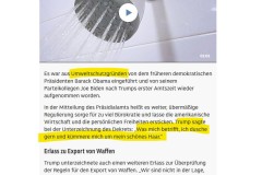 2025-04-10  ich kümmere mich um mein schönes Haar...  NOT my president, unfortunately!