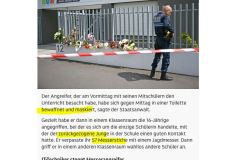 2025-04-26  Begeisterung für für den schlechten österr. Maler findet sich aber manchnmal auch bei den ´Guten´ ( siehe Video )