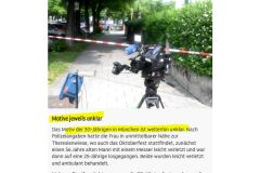 2025-06-08  Motive jeweils unklar, Verbindungen zur AfD können bis dato nicht definitiv ausgeschlossen werden