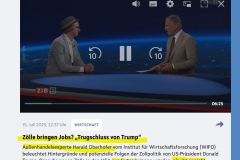 2025-07-15  Kein Kopf, aber ein Hut,  der Experte. Der Wolfi ist dementsprechend entzückt