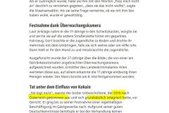 2025-09-03  wenn der grundsätzlich integrierte Afghane nach der Haftstrafe nicht in die Heimat entsorgt wird, ist die öst. Jusitz m.E. grundsätzlich zum Krenreiben