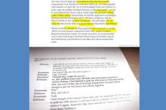 2025-09-17  seit dem ´Tod´ des ´ultrarechten´.... Verzeihung, ich geh´ einmal kurz speiben