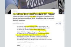 2025-09-17  also bitte, lasst´s den armen syrischen Knaben in Ruh´, es is eh´ niemand g´storben