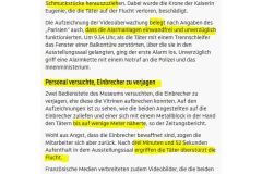 2025-10-23  eigentlich hat ja alles superb funktioniert, so la Haute Directrice de Securitée Louvreienne