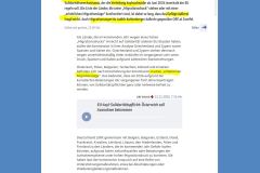 2025-11-13  wenn sich die Mädchen, die Linken und die Globalisten auf a Packl hau´n, wird´s ungemütlich für den vernunftbegabten & zahlenden Bürger