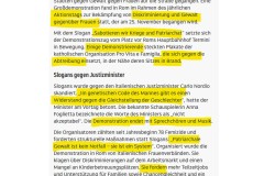 2025-11-23  wenn die Demonstrierenden Eier und drei funktionierende Gehirnzellen hätten, wuerden sie gegen die, aus der 3. Welt importierte Gewalt gegen Frauen protestieren