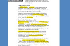 2025-11-29  wie befürchtet, ist der Afghane das eigentliche Opfer