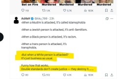 2025-11-29  you are lost, or an intellectual,  if you don´t see a pattern