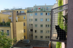 KATZENBALKON 1